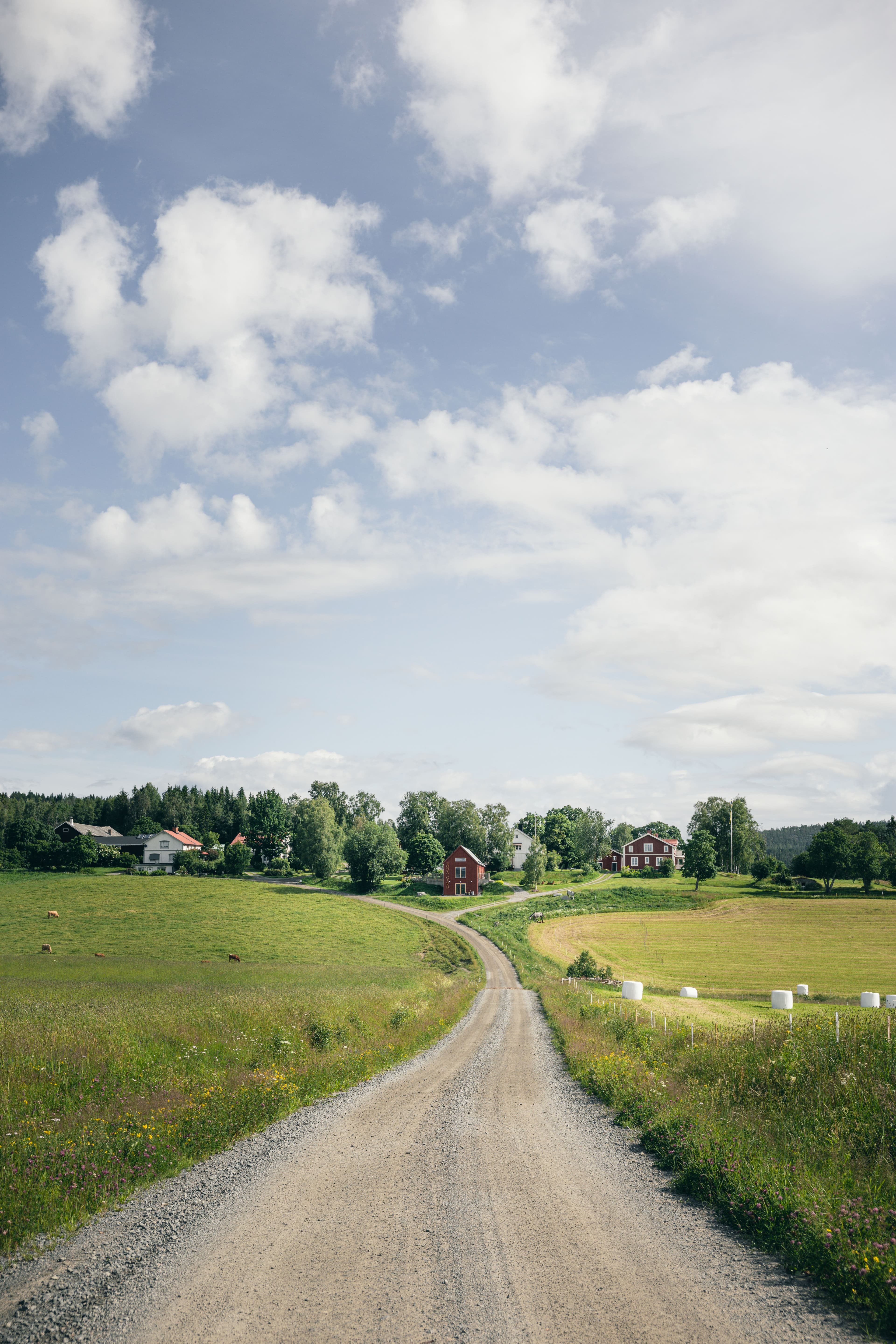 Gröna ängar, en grusväg leder mot Boda Gård i fjärran, under en himmel med spridda moln.